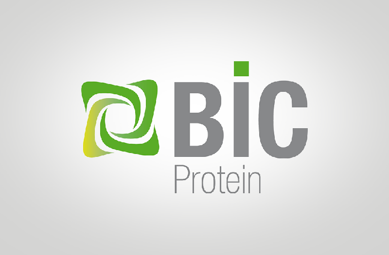 BIC Protein